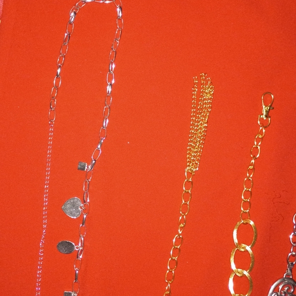 Silver and Gold Belts main image 4